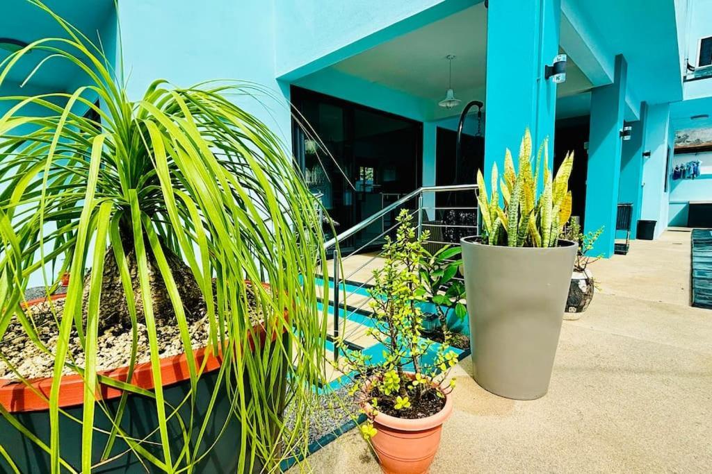 Turquoise Exotique Flic en Flac