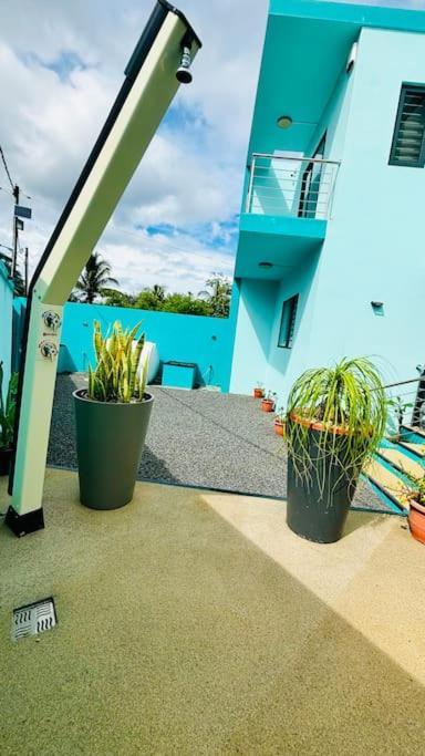 Turquoise Exotique Flic en Flac